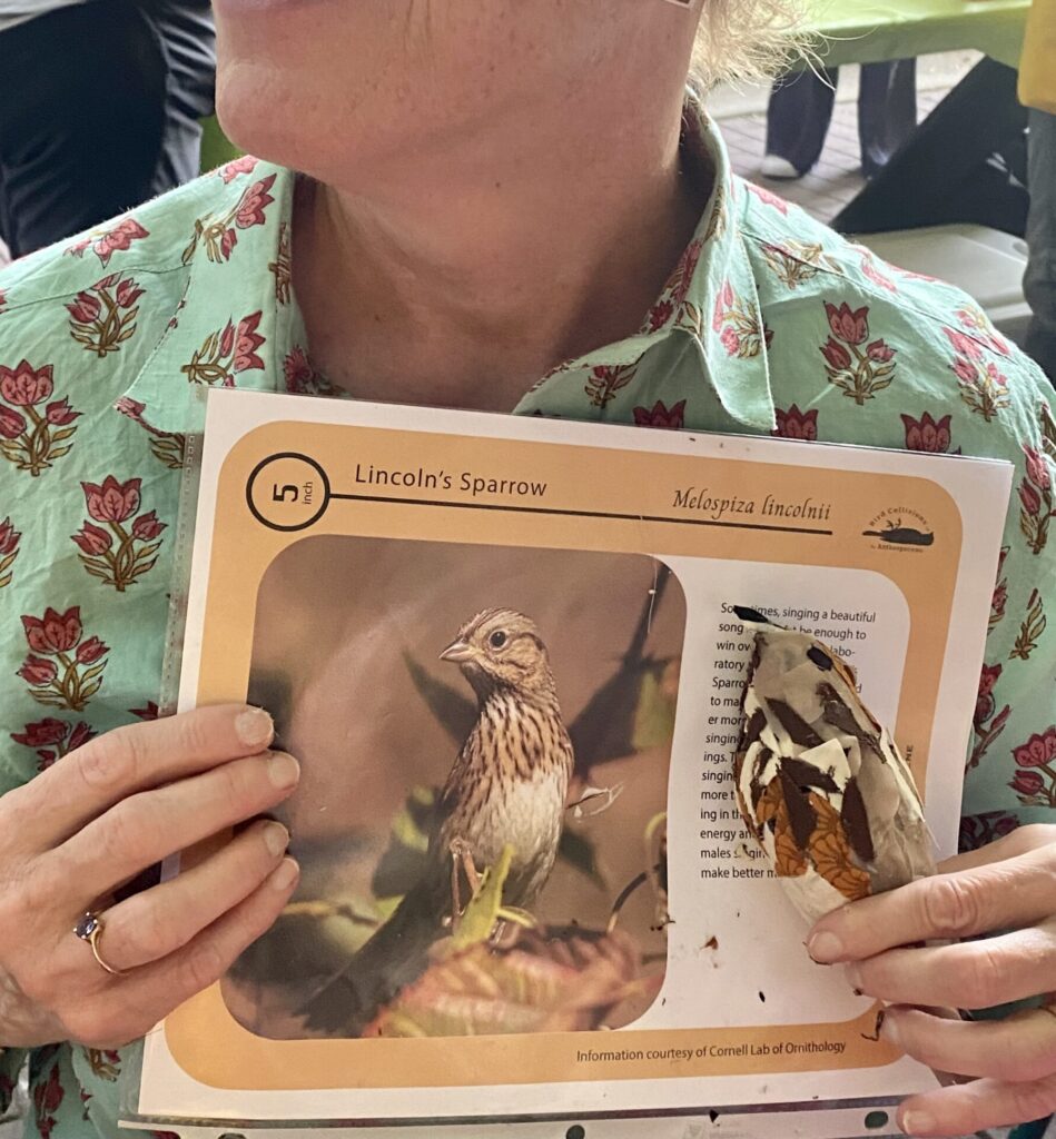 An adult with pale skin, a minty green floral shirt, and a gemstone-set ring holding up an info sheet with a picture and description of a Lincoln's sparrow. In the other hand, they hold a sewn version of the same bird, stitched together from found fabrics of various grays, browns, and whites.