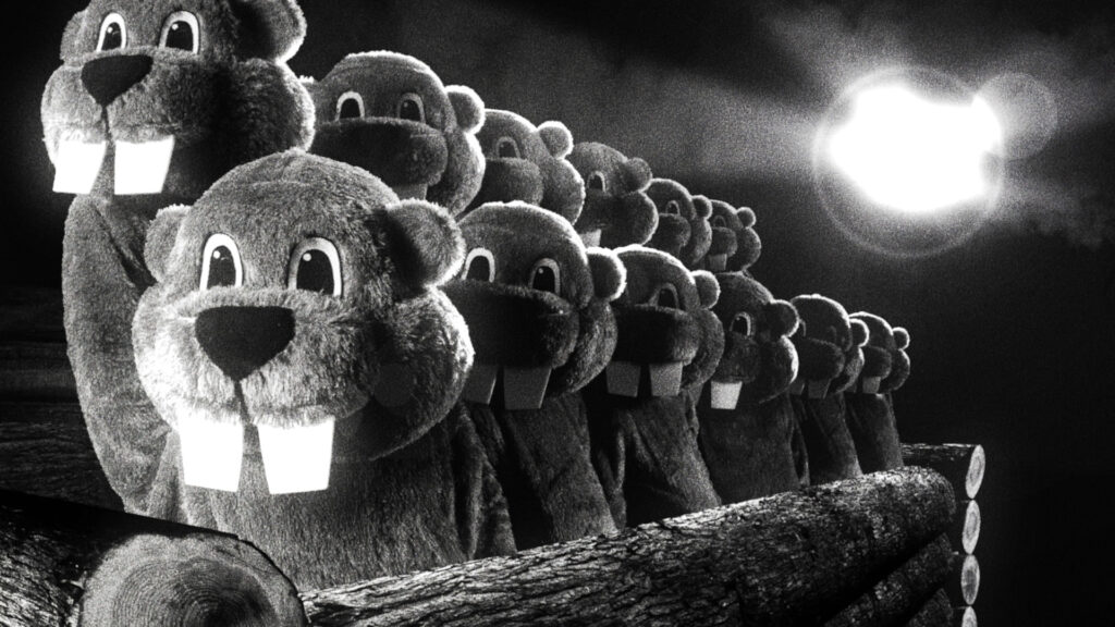 A row of beaver mascots stand atop stacked logs under a bright moonlight glow.
