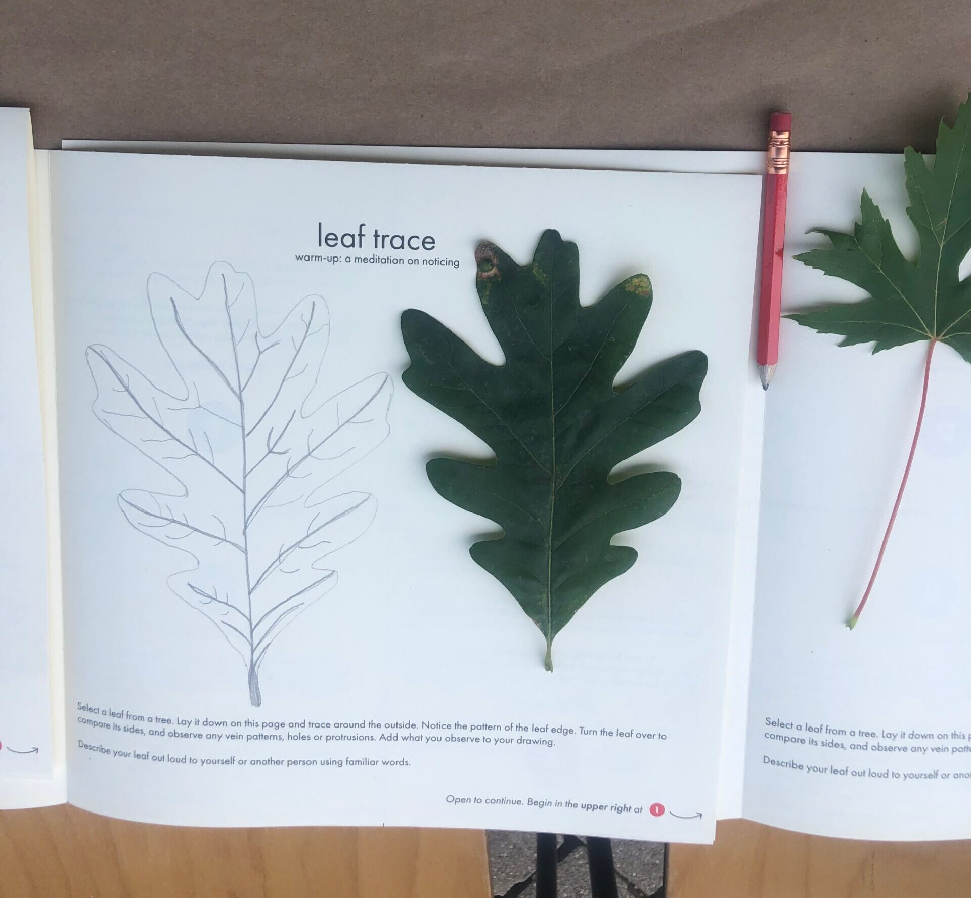 An open notebook with the words "leaf trace" and a sketch of a leaf next to a green oak leaf lying on the page.