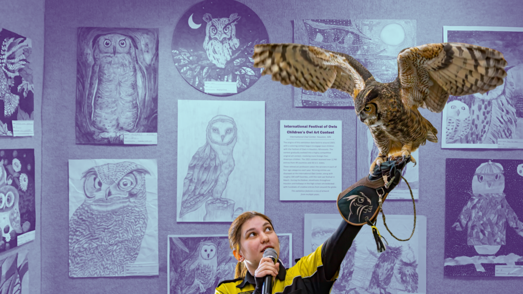 A collage with a cut out photo of a person with their arm raised while holding an owl. The bird has its wings open. The background image is a blue-tinted photo of a wall with different kinds of artworks depicting owls.