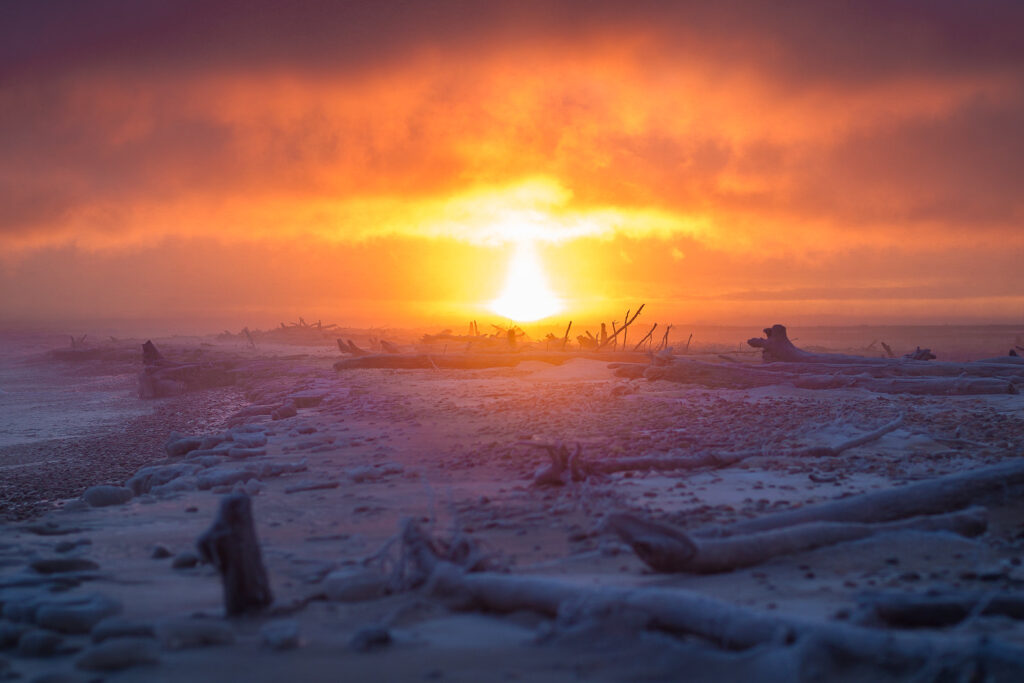 A fiery orange sunrise by a frozen lake with broken tree stumps and branches