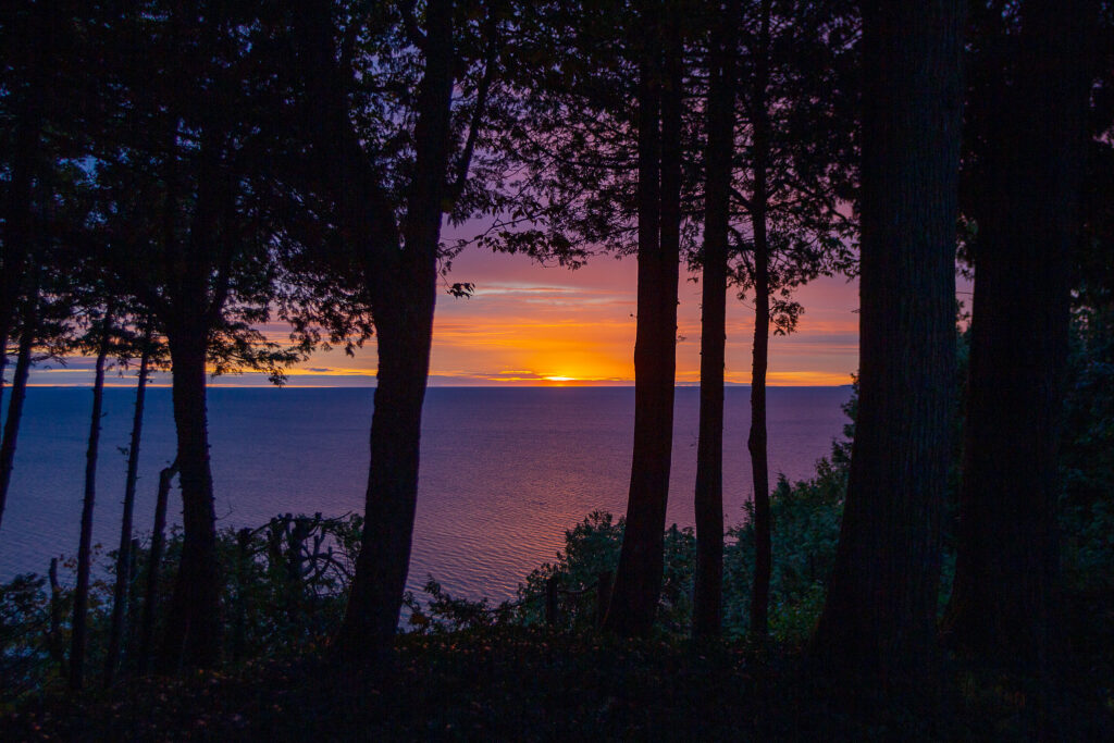 A view of a sunrise by a water body with trees on the shoreline