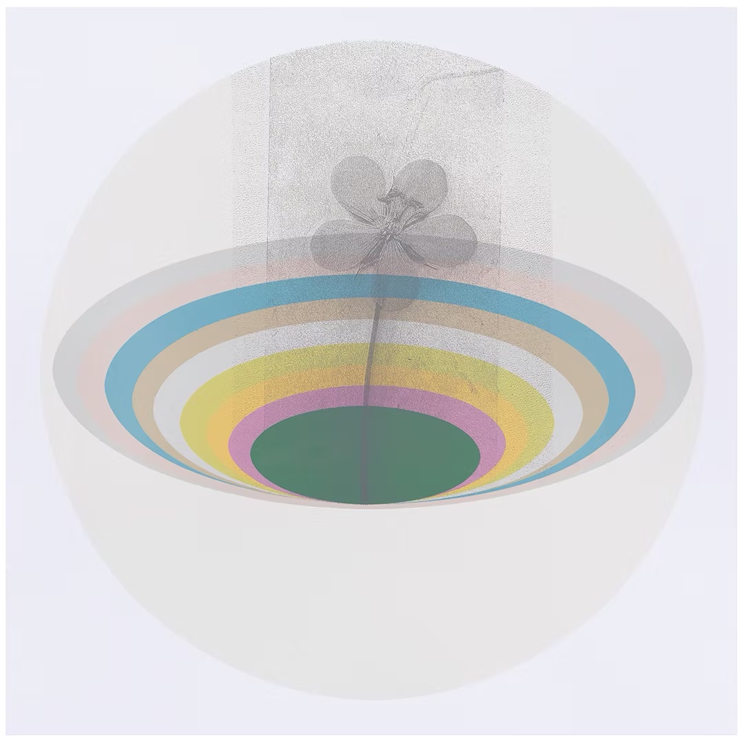 An artwork of a flower growing out of concentric pastel circles.