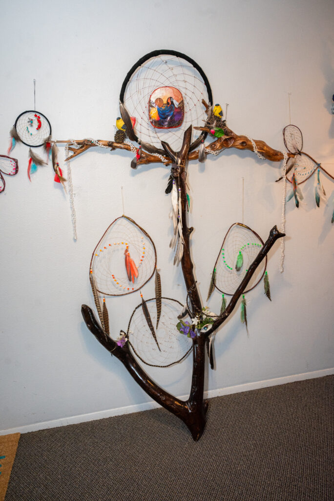 A display of different dreamcatchers on polished branches
