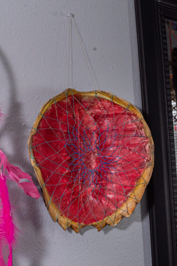 An artwork made using string and turtle shell