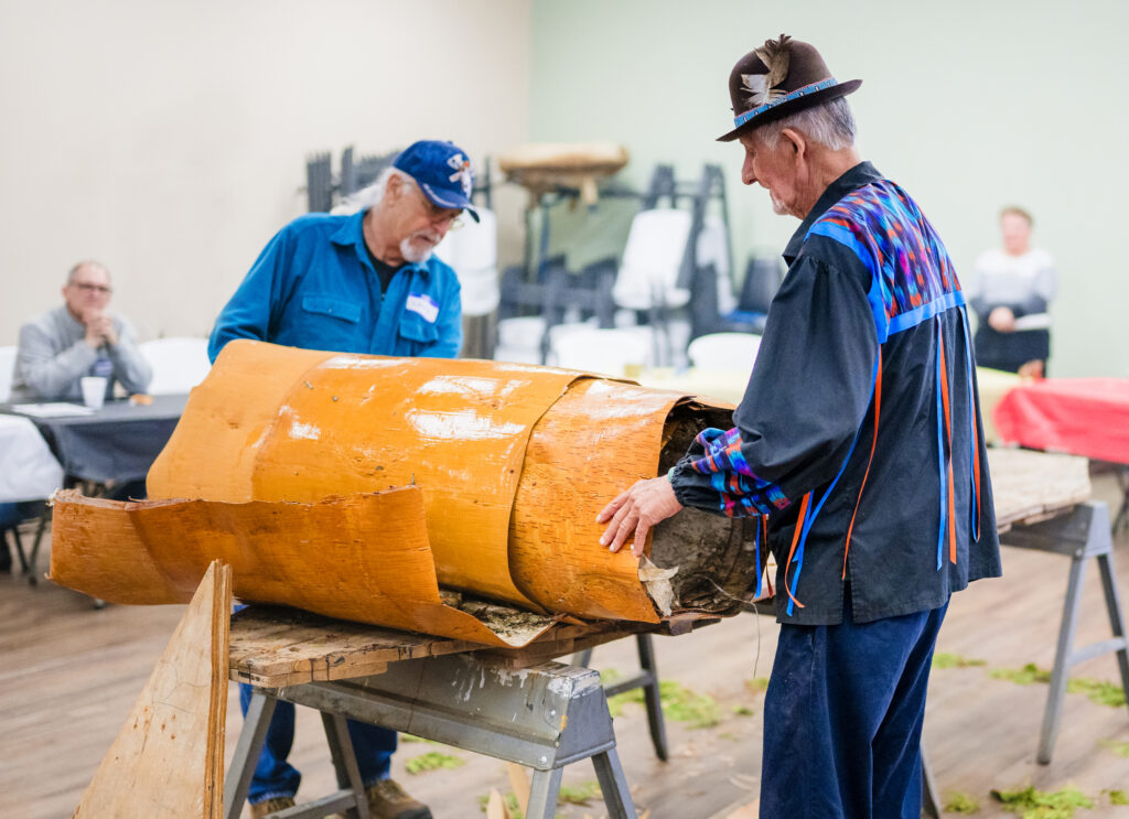 Two people standing by a table unrolling layers of birch bark