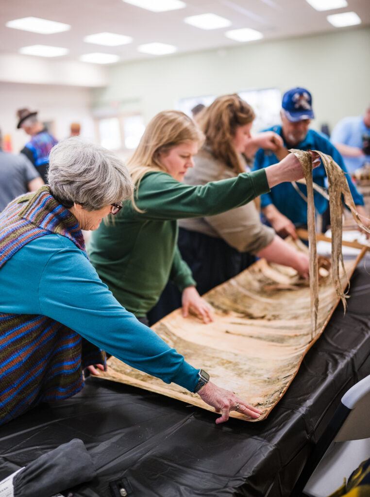 People peeling papery outer bark from a large piece ofcut birch bark on a table
