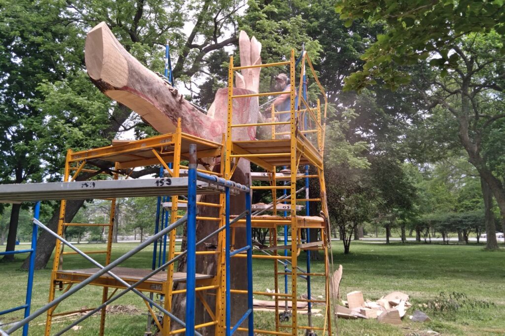 Scaffolding set up around a large tree stump.